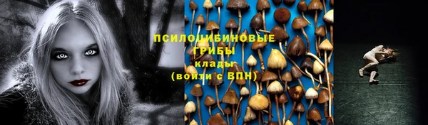 индика Нефтегорск