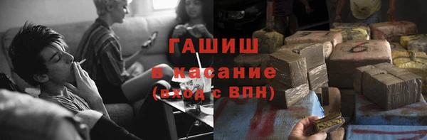 сатива Нефтекумск