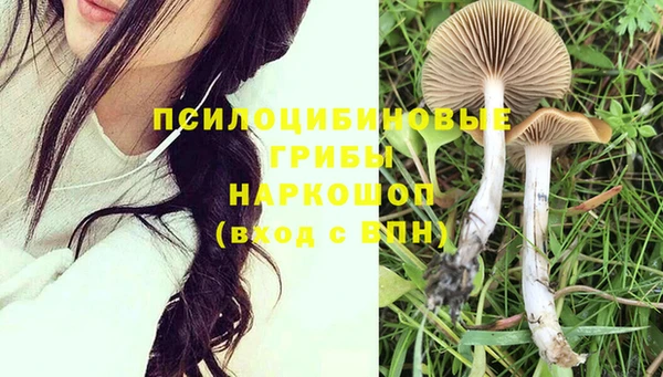 индика Нефтегорск